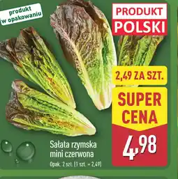 ALDI Sałata rzymska mini czerwona oferta