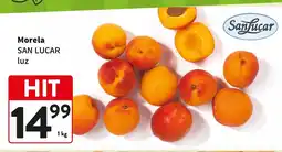 Intermarche Morela San Lucar luz oferta