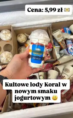 Dino Lody Koral jogurtowe oferta
