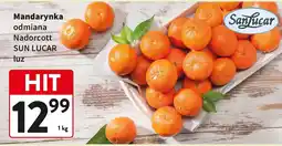Intermarche Mandarynka Nadorcott San Lucar luz oferta