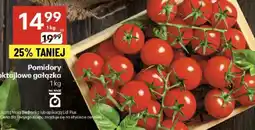 Delikatesy Centrum Pomidory koktajlowe gałązka Delikatesy Centrum oferta
