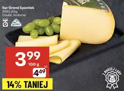Delikatesy Centrum Ser Grand Spomlek Gouda/Radamer oferta