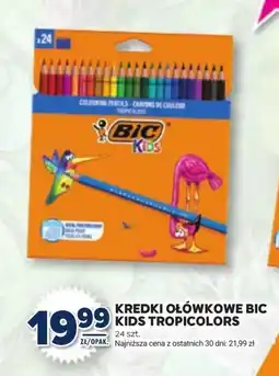Stokrotka Kredki ołówkowe Bic oferta