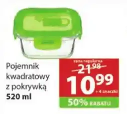 Stokrotka Pokrywka oferta