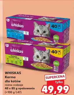 Kaufland Karma dla kota Whiskas oferta