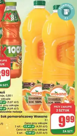Dino Sok pomarańczowy Wosana oferta