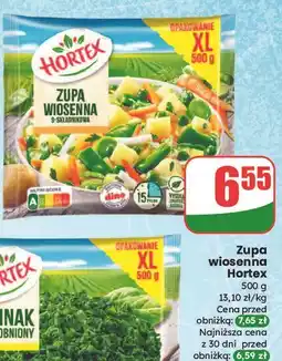 Dino Zupa wiosenna 9-składnikowa Hortex oferta