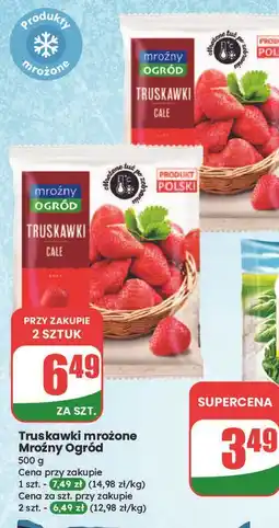 Dino Truskawki Mroźny Ogród oferta