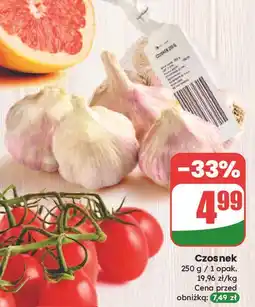 Dino Czosnek oferta