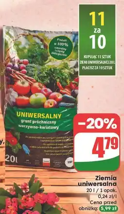 Dino Ziemia uniwersalna oferta
