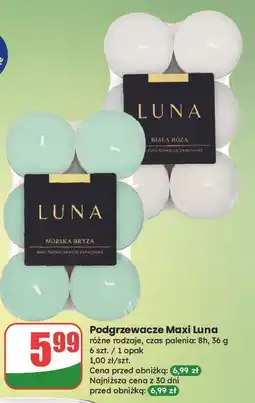 Dino Podgrzewacze biała róża Luna oferta