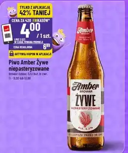 Polomarket Piwo Browar Amber oferta