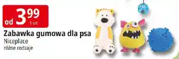 E.Leclerc Zabawka gumowa dla psa Niceplace oferta