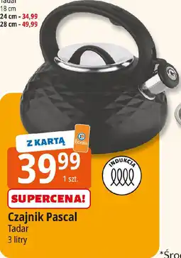 E.Leclerc Czajnik Pascal Tadar oferta