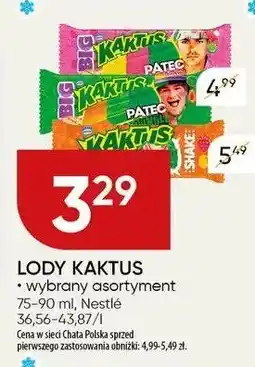 Chata Polska Lody Kaktus Nestlé oferta