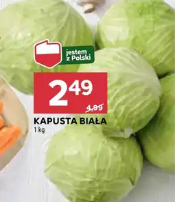 Stokrotka Market Kapusta biała oferta