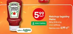 Żabka Ketchup łagodny Heinz oferta
