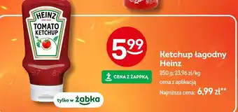 Żabka Ketchup łagodny Heinz oferta