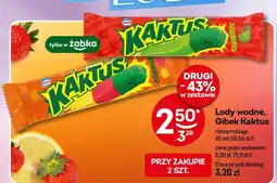 Żabka Lody wodne Gibek Kaktus różne rodzaje oferta