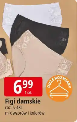 E.Leclerc Figi damskie oferta