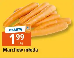E.Leclerc Marchew młoda oferta