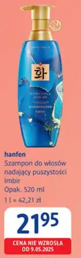 dm drogerie markt hanfen Szampon do włosów oferta