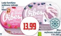 Kupiec Lody familijne Vibes oferta