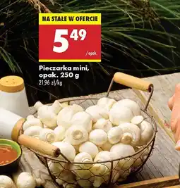 Biedronka Pieczarka mini Pieczarki oferta