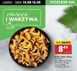 Biedronka Kurki Biedronka oferta