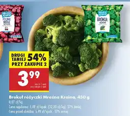 Biedronka Brokuł różyczki mrożone Mroźna Kraina oferta