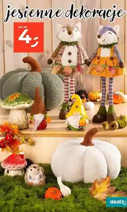 Dealz Skrzat oferta
