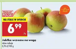 Biedronka Jabłka wczesne 1 kg Biedronka oferta