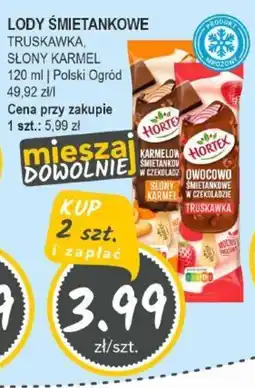 Słoneczko Lody śmietankowe polski ogród oferta