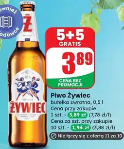 Dino Piwo ZYWIEC Cena przy zakupie oferta
