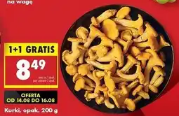 Biedronka Kurki - całe oferta