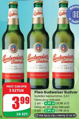 Dino Piwo Budweiser Budvar oferta