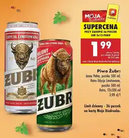 Biedronka Piwo retro edycja limitowana Żubr 1768 oferta