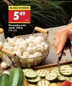 Biedronka Pieczarki mini oferta