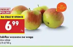 Biedronka Jabłka wczesne polska oferta