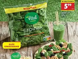 Biedronka Szpinak baby Vital Fresh oferta