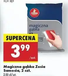 Biedronka Magiczna gąbka Zosia Samosia oferta