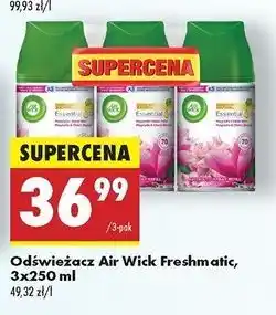 Biedronka Wkład magnolia i kwiat wiśni Air Wick Freshmatic oferta