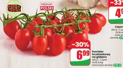 Dino Pomidor truskawkowy na gałązce 1 opak. Dino oferta