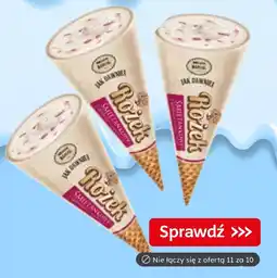 Dino Lody Rożek Jak Dawniej Bracia Koral oferta
