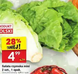 Twój Market Sałata rzymska mini Twój Market oferta