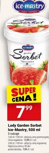 Twój Market Lody Garden Sorbet Ice-Mastry oferta