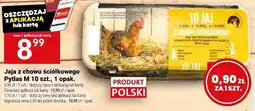 Twój Market Jaja z chowu ściółkowego Pytlus oferta