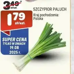 Społem Szczypiorek oferta