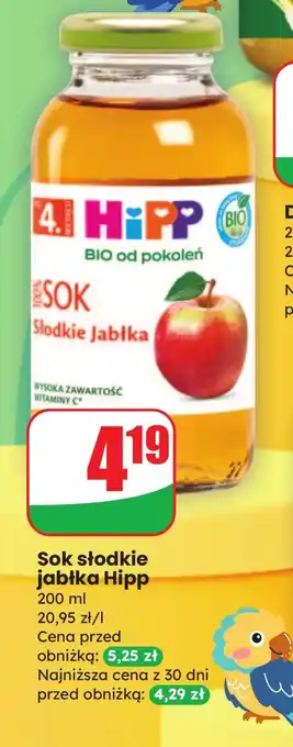 Dino Sok Hipp oferta