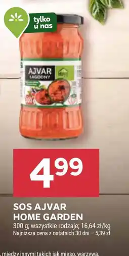 Stokrotka Ajvar Home garden oferta